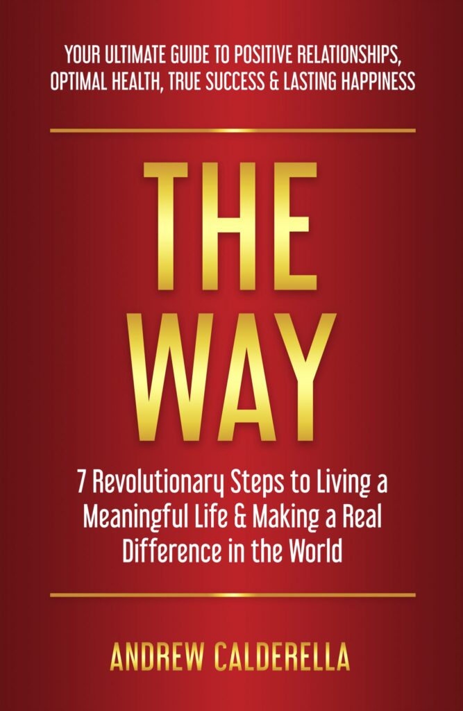 The Way: 7 Revolutionary Steps to Living a Meaningful Life and Making a Real Difference in the World